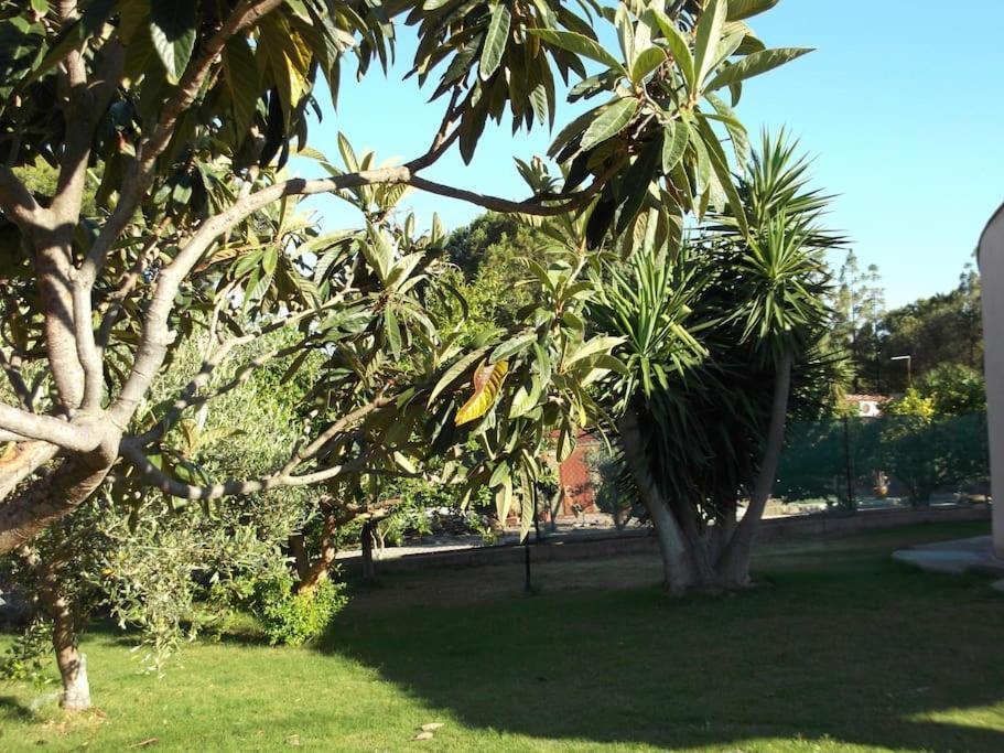 Villa Gabriella Villa San Pietro Esterno foto