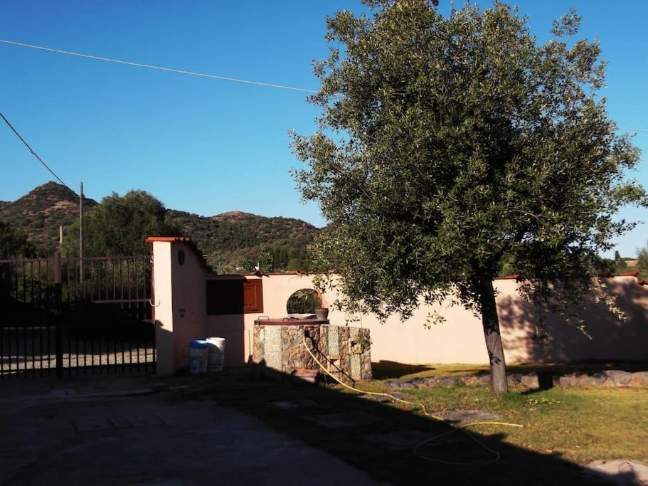 Villa Gabriella Villa San Pietro Esterno foto