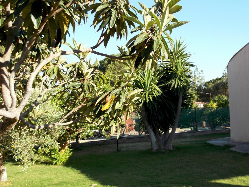 Villa Gabriella Villa San Pietro Esterno foto